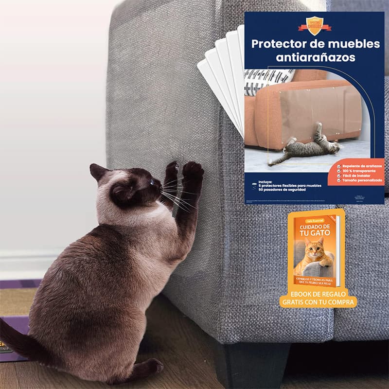 ScratchGuard™ Muebles intactos. Mascotas felices.